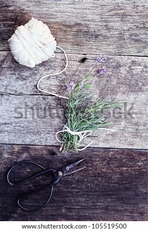 Fresh cut Lavender tied together in a bundle with antique scissors.