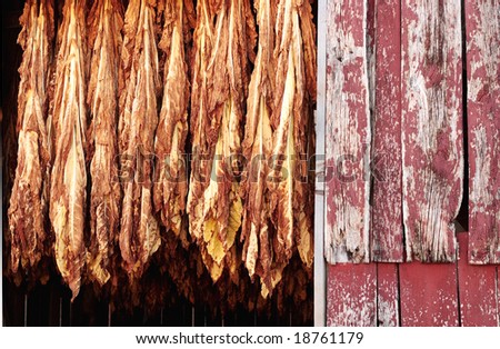Barn Rafters