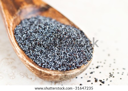 Black poppy seeds on a light colored stone counter top. Clipping path included to increase your use.