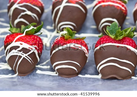 A tray of freshly dipped chocolate covered strawberries.