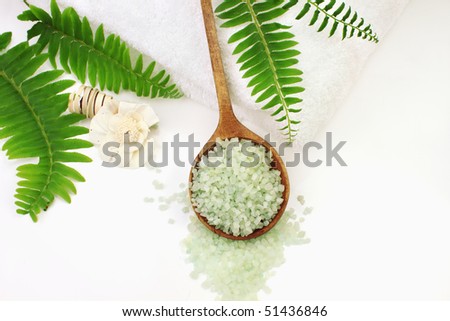A wooden spoon filled with green bath salts. Shallow DOF with selective focus on salt. Room for text.