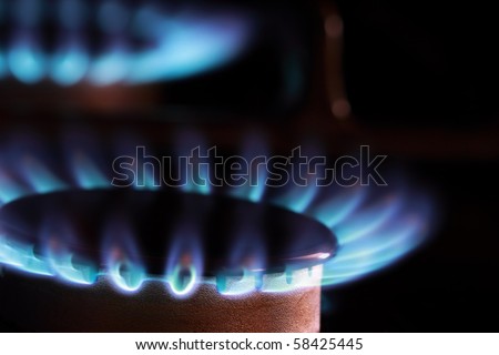 Close up of blue flames from gas kitchen range.