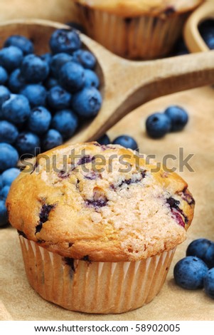 Delicious homemade blueberry muffins with fresh blueberries spilling from a wooden spoon. Extreme shallow DOF.