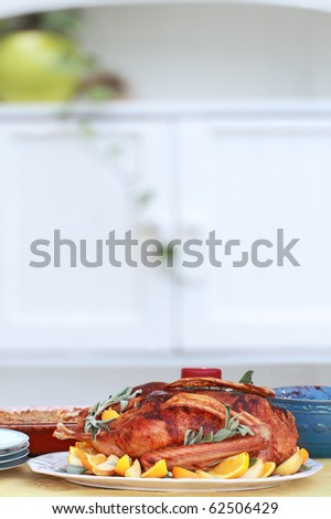 Christmas dinner of goose with fresh fruit and sage. Served with cranberry sauce and sweet potato souffle. Shallow DOF.