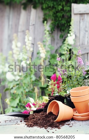 Rustic table with terracotta pots, potting soil, trowel and flowers in front of an old weathered gardening shed.
