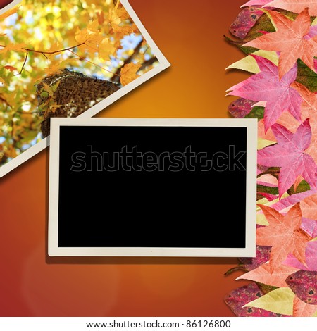 Vintage photos over a background with colorful autumn leaves. Room for copy space.