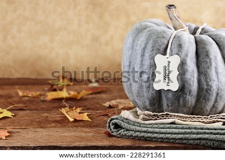 Thanksgiving holiday, green pumpkin still life decoration with with greeting card wishing a Happy Thanksgiving. Extreme shallow depth of field.