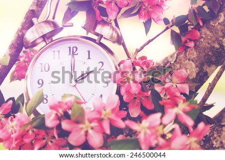 Set your clocks back in spring with this whimsical image of a clock surrounded by spring flowers set to 2 o clock! Extreme shallow depth of field with selective focus on clock.