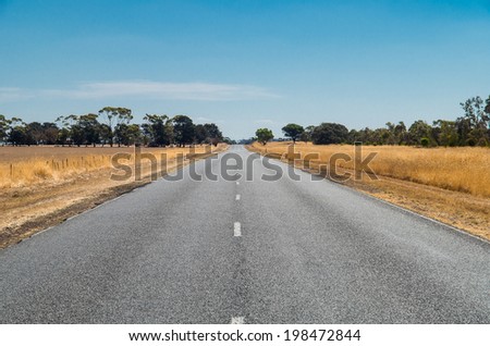 Country road in the Australian bush near Ballarat