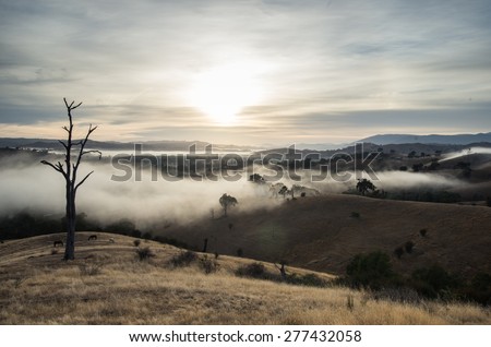 Sunrise over the Goulburn River valley near Alexandra, east of Melbourne, Australia. A low mist hangs over the landscape between the hills.