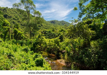 Lush green jungle surrounding the My Son UNESCO World Heritage site near Hoi An in central Vietnam, an ancient Hindu temple complex of the Cham people.