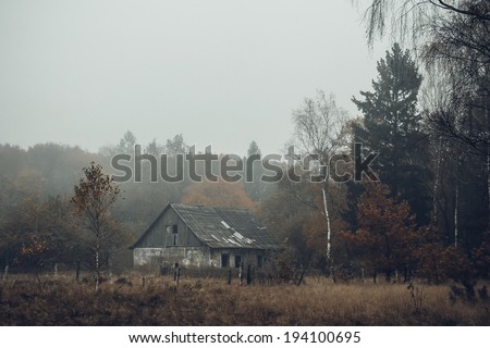 Old house in the forest, misty morning