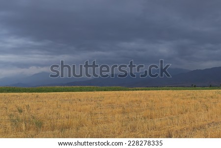 Yellow field, mountain, storm clouds