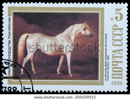 USSR - CIRCA 1988: A stamp printed in USSR, shows Arabian Stallion 1860, by N.E. Sverchkov, series Moscow Museum of Horse Breeding, circa 1988