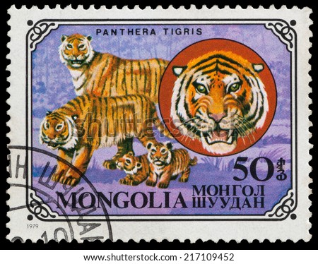 MONGOLIA - CIRCA 1979: a stamp printed in Mongolia shows the cat family,tiger, circa 1979