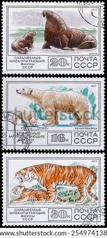 USSR - CIRCA 1977: a stamp printed in USSR, shows animals mammals in the red book, CIRCA 1977