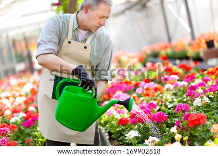 Portrait of a greenhouse worker watering plants