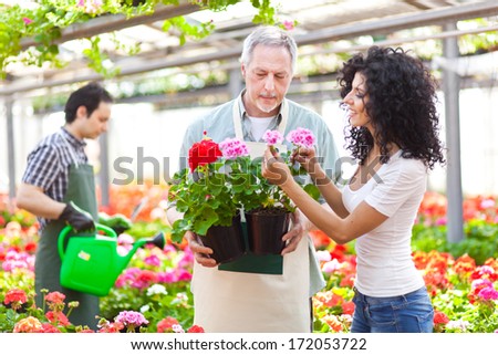 Woman choosing flowers in a greenhouse