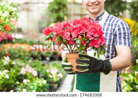 Portrait of a smiling man holding a flower pot