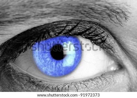 Blue eye macro shooting