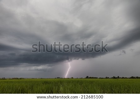 Lightning and thunderstorm over the fields