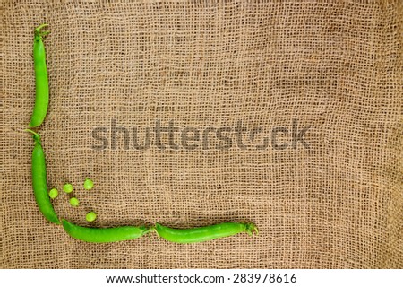 Concept. Pods of peas on a background of burlap cloth. design element
