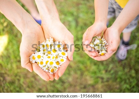 Mother and child hold flowers in their hands on a sunny summer day. focus on child hand with flowers