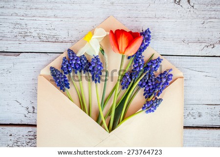 Spring flowers. March 8th, mother's day, valentine's day, International Women's Day, congratulate