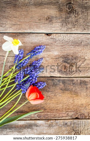 Spring flowers. March 8th, mother\'s day, valentine\'s day, International Women\'s Day, congratulate