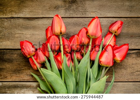 Spring flowers. March 8th, mother\'s day, valentine\'s day, International Women\'s Day, congratulate