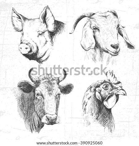 Farm animals vintage set, vector. See also other sets of animals.