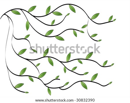 budding leaves