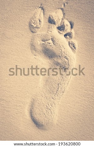 Retro footprint in sand on the beach