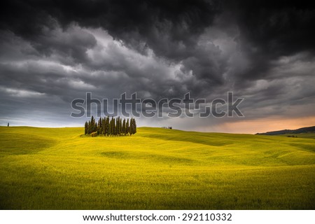 Italian countryside, during sunset. Cypresses over golden hills with stormy sky.