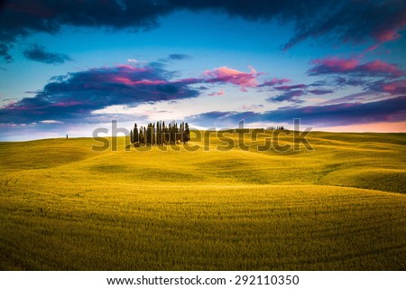 Italian countryside, during sunset. Cypresses over golden hills with stormy sky.