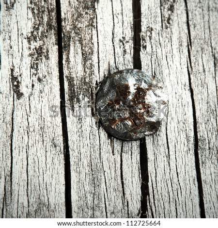 Rusty nail in the wood grunge macro background