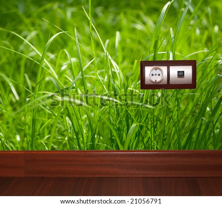 grass environment