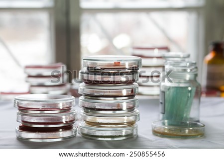 Stacks of Petri dishes with bacteria growing in them