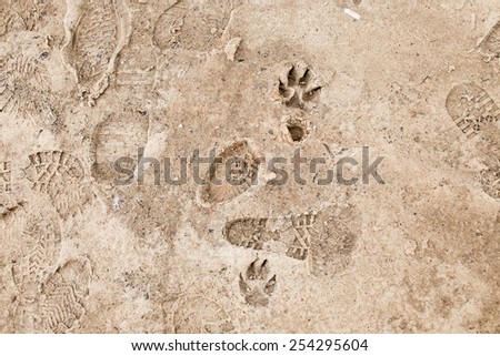 Footprints on frozen ground on winter morning