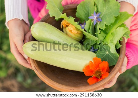 Bowl of freshly picked vegetables in kids\' hands. Organic farming and gardening. Edible flowers on top of zucchini and lettuce leaves. Vegetarian and raw food. Healthy lifestyle.
