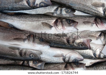 Fresh salt cod fish at the market