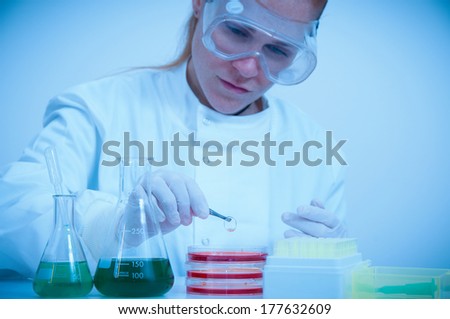 Scientists at work in the lab