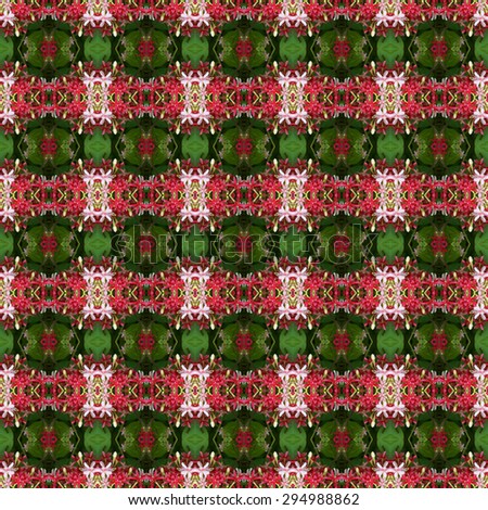 Pink bouquet of Quisqualis Indica flower is ivy flower seamless use as pattern and wallpaper.