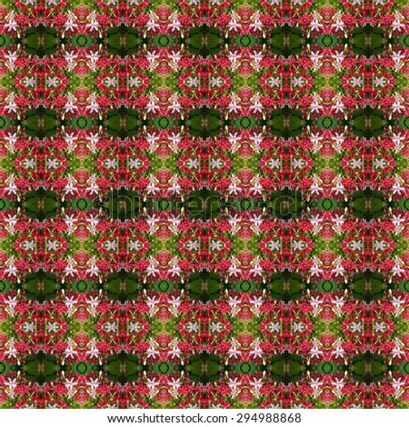 Pink bouquet of Quisqualis Indica flower is ivy flower seamless use as pattern and wallpaper.