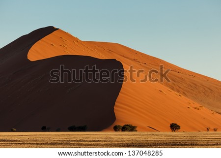 Red sand Namibian desert dunes rise high against blue sky in Namib-Naukluft National Park with curving shadow. This desert is the oldest in the world completely devoid of surface water.