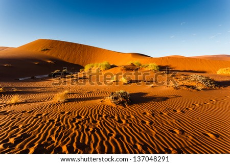 Ripple patterns and sparse brush on orange Namibian desert dunes. This desert is the oldest in the world completely devoid of surface water.