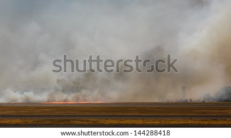 Row of flames and great clouds of smoke from out of control forest fire consuming brush and trees