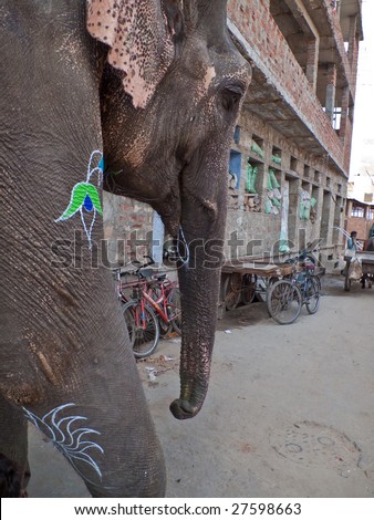 JAIPUR, INDIA - MARCH 10: Painted elephant parades through the Pink City for annual elephant parade which is the largest tourist festival in Jaipur India, March 10 2008.
