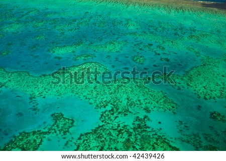 Topography of Arlington Reef Aerial View in Great Barrier Reef Marine Park