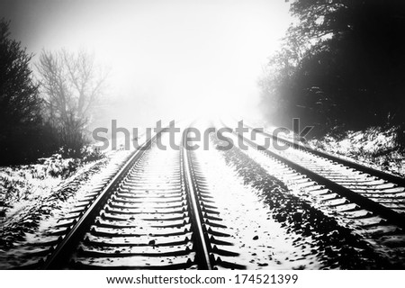 Snow covering rail track among trees